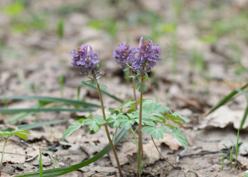 Similar image 11481728