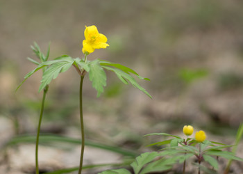 Similar image 11481729