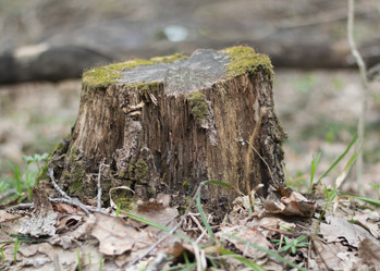 Similar image 11481731