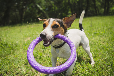 Similar image 11492877