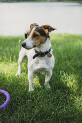 Similar image 11492898