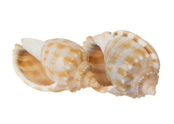 Similar image 11482108