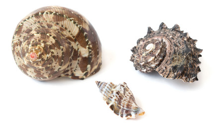 Similar image 11482110