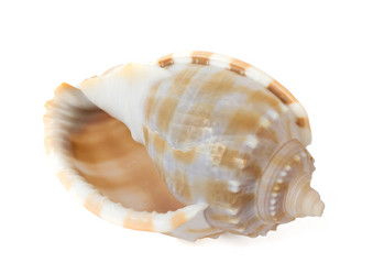 Similar image 11482111