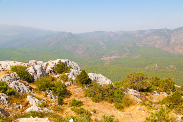 Similar image 11482190