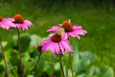 Similar image 11485118