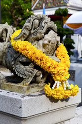 Similar image 11483729