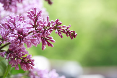 Similar image 11483632