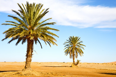 Similar image 11483676