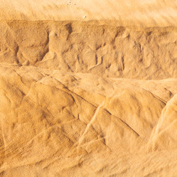 Similar image 11483679