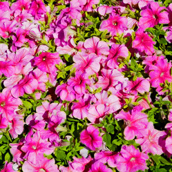 Similar image 11483685