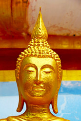 Similar image 11483687