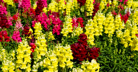 Similar image 11483690