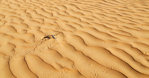 Similar image 11483691