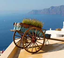 Similar image 11484107