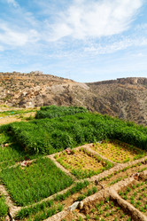 Similar image 11483705