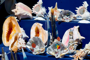 Similar image 11483712