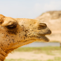 Similar image 11483945