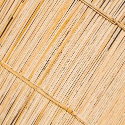 Similar image 11483949