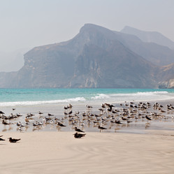 Similar image 11483950