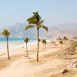 Similar image 11483951