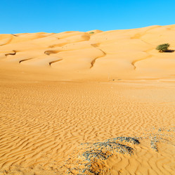 Similar image 11483965