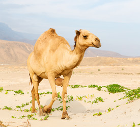 Similar image 11483968