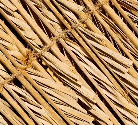 Similar image 11483970