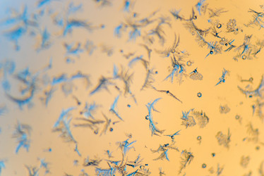 Similar image 11483831