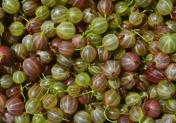 Similar image 11484109