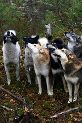 Similar image 11485127