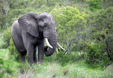 Similar image 11485139