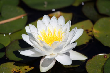 Similar image 11485144