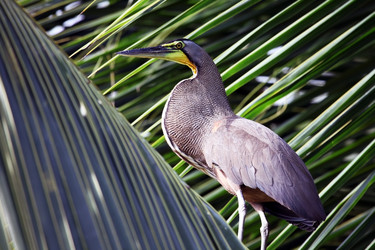 Similar image 11485145