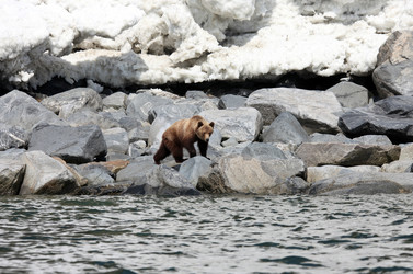 Similar image 11485150