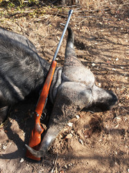 Similar image 11485186