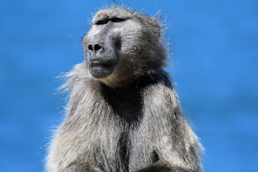 Similar image 11485169