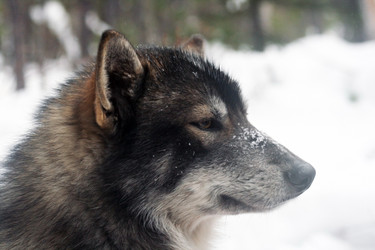 Similar image 11485170