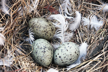 Similar image 11485175