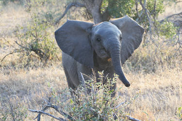 Similar image 11485176