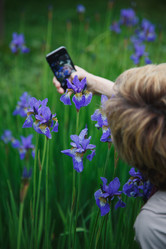 Similar image 11492843