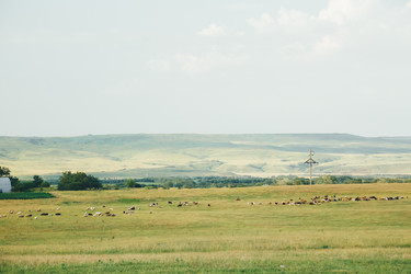 Similar image 11492953