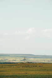 Similar image 11492954