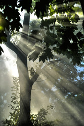 Similar image 11490283