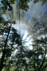 Similar image 11490358