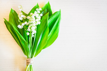 Similar image 11486657