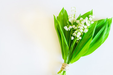 Similar image 11486658