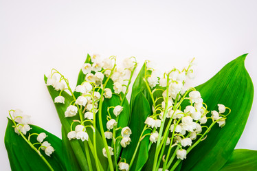 Similar image 11486659