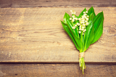 Similar image 11486662