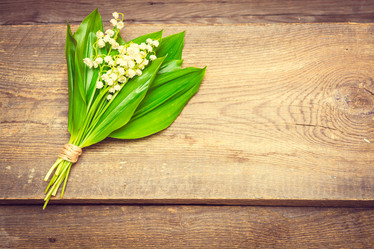 Similar image 11486663